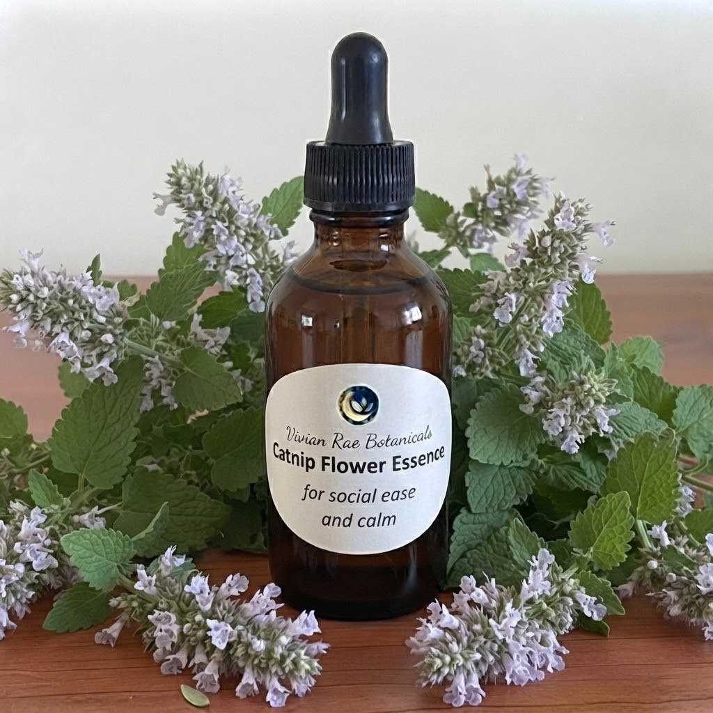 Catnip Flower Essence