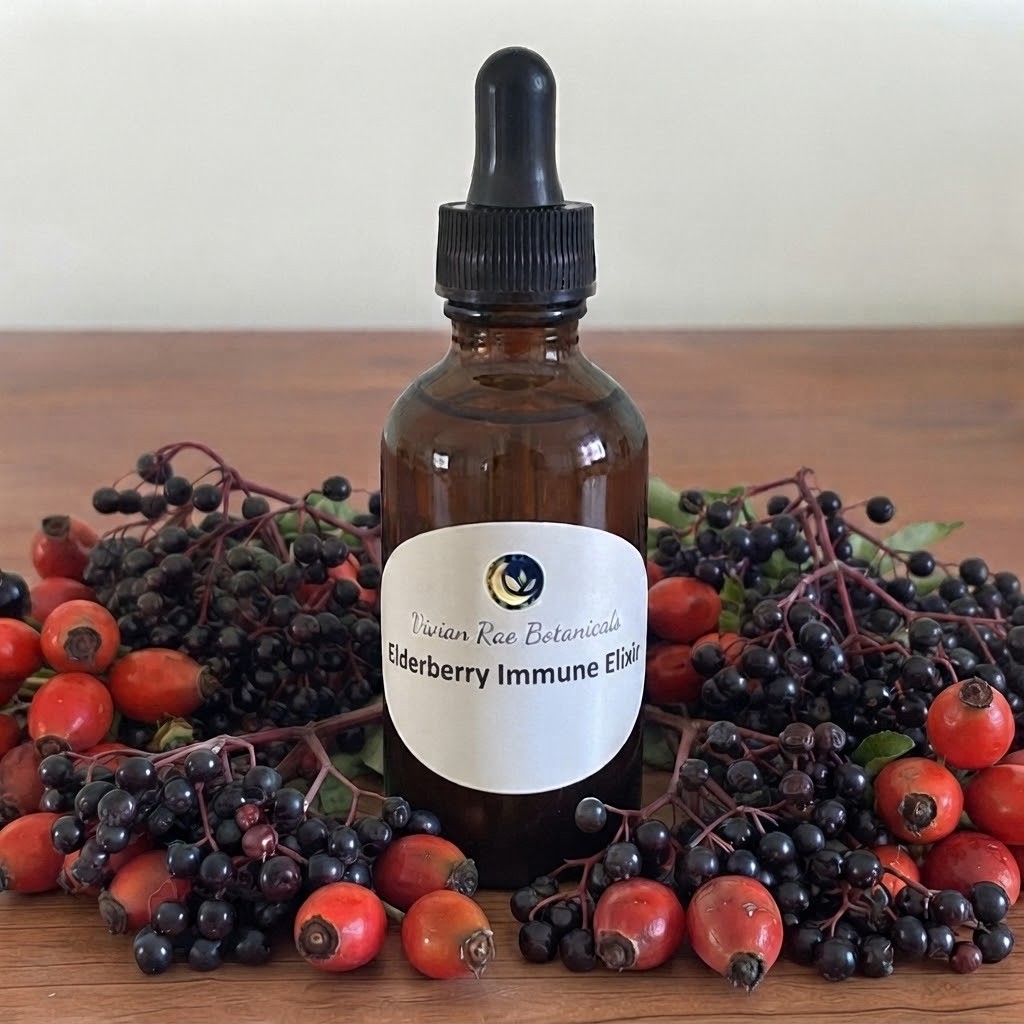 Elderberry Immune Elixir