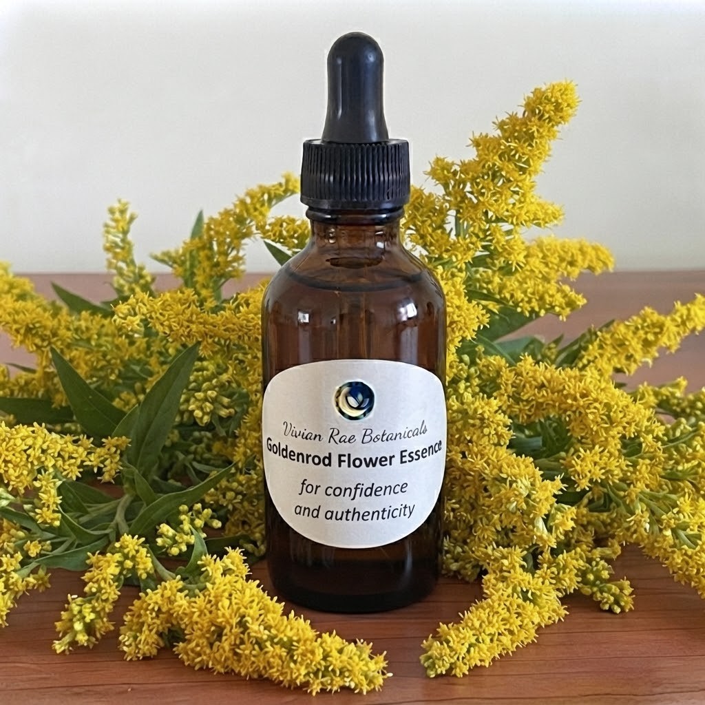 Goldenrod Flower Essence