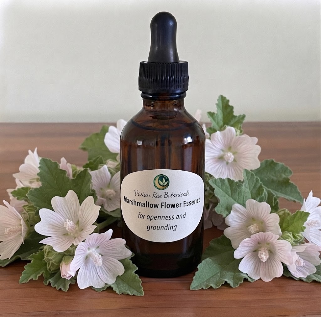 Marshmallow Flower Essence