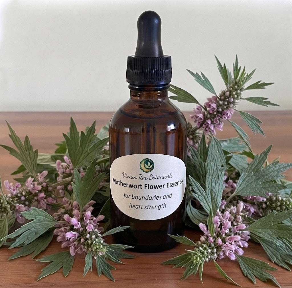 Motherwort Flower Essence