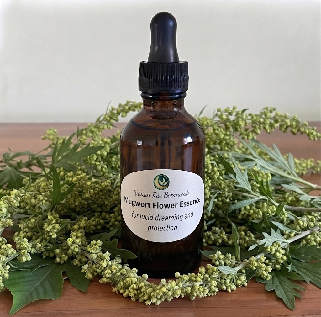 Mugwort Flower Essence