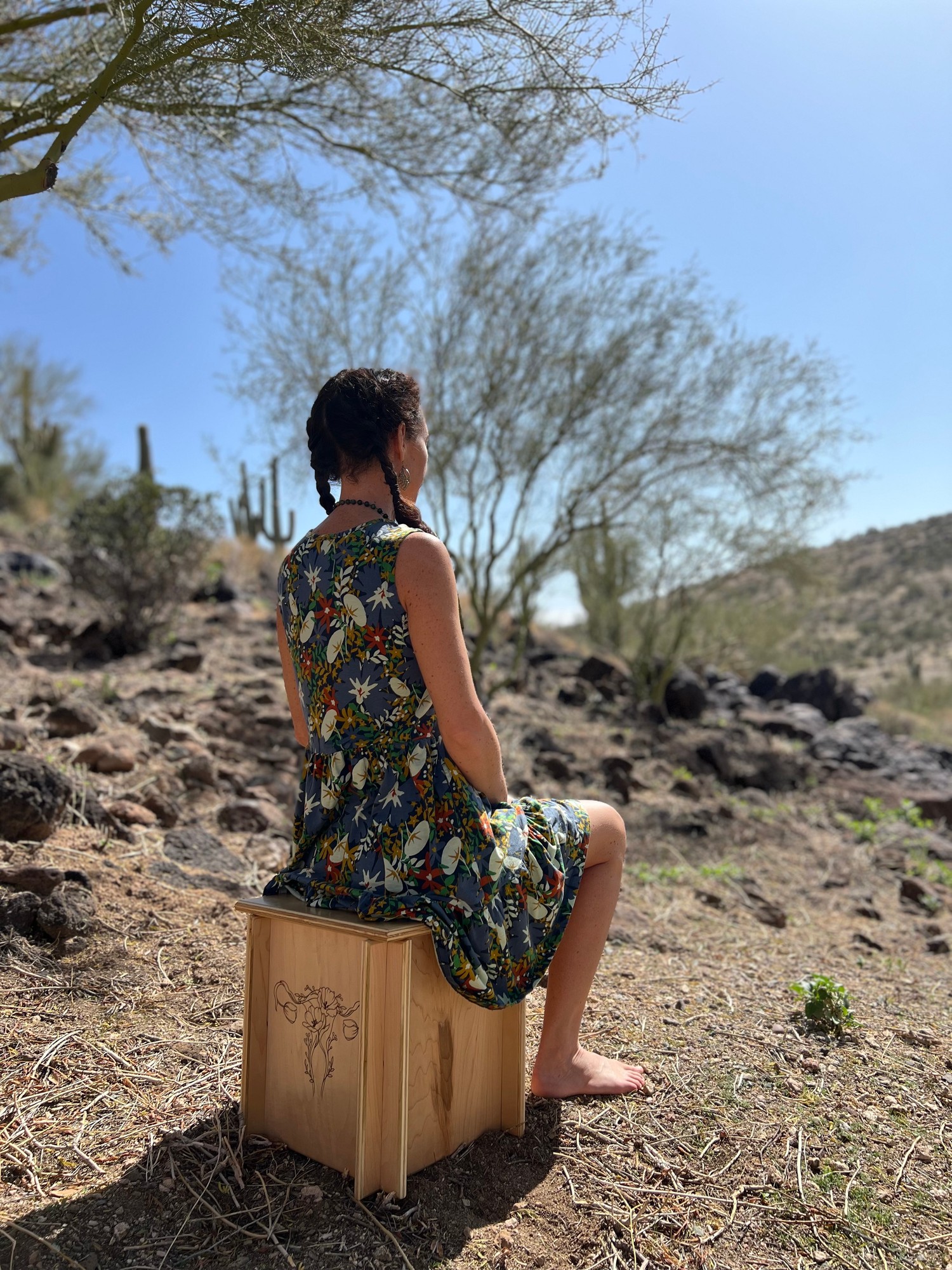 Pelvic Steam Session New River Arizona