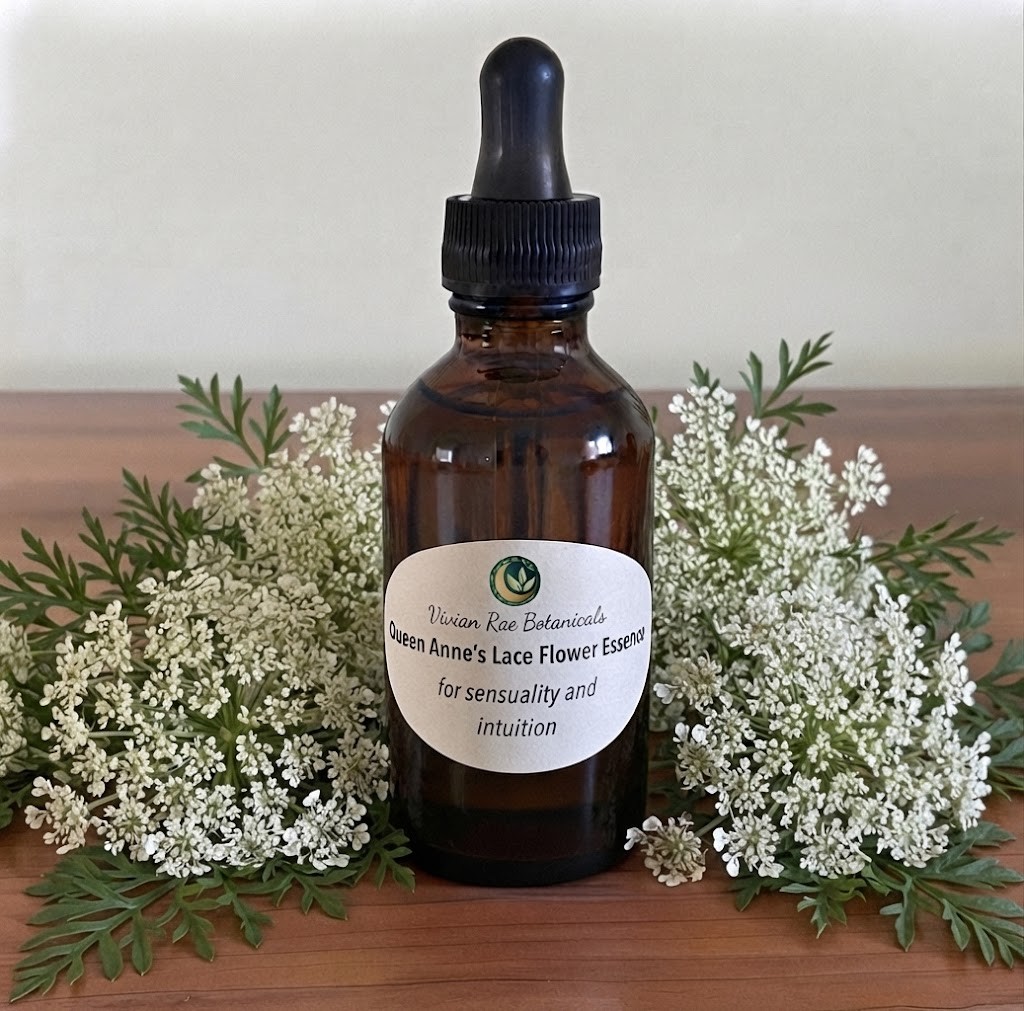 Queen Anne's Lace Flower Essence