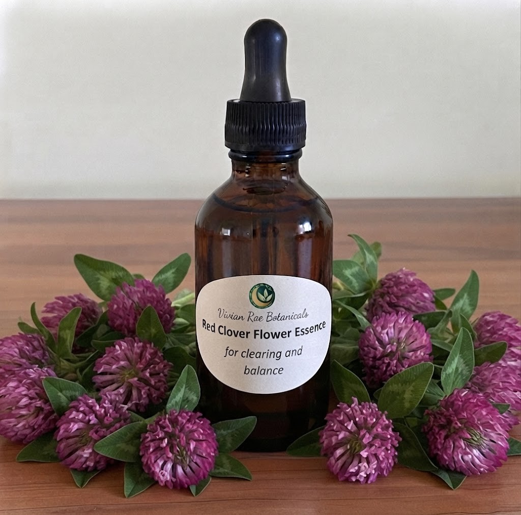 Red Clover Flower Essence