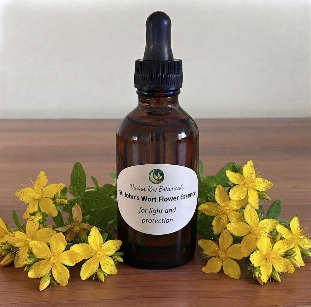 St. John's Wort Flower Essence