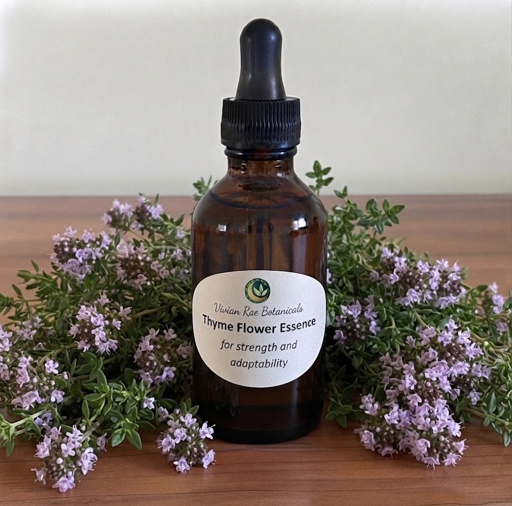 Thyme Flower Essence