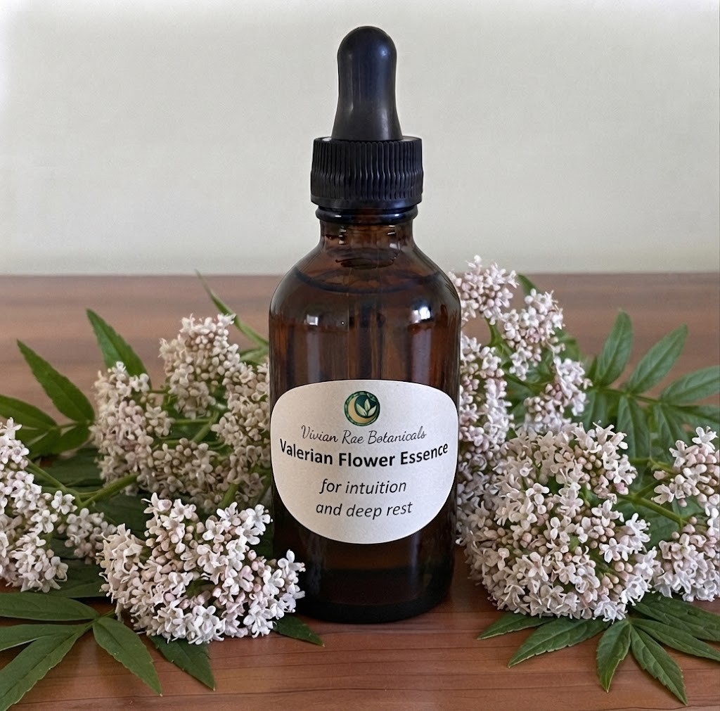 Valerian Flower Essence
