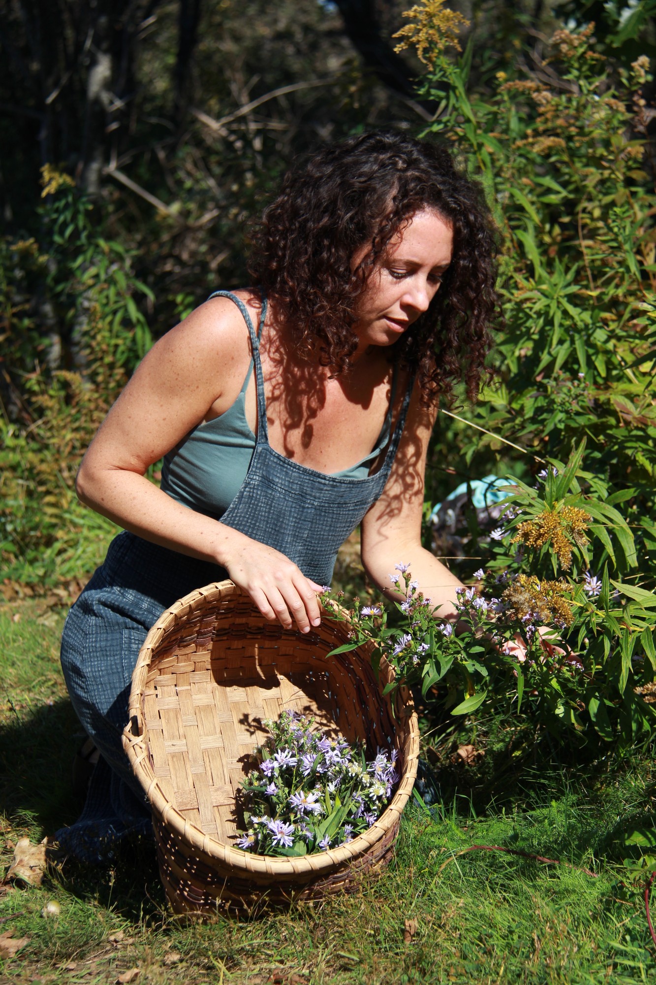 Vivian Collecting Plants