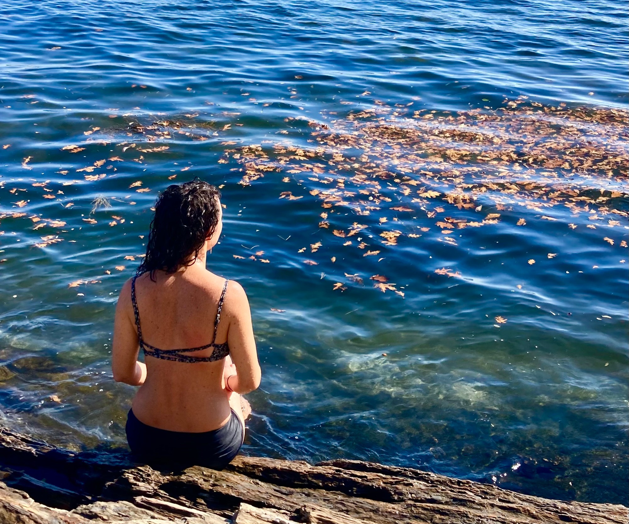 Vivian Rae Mackworth Island Maine