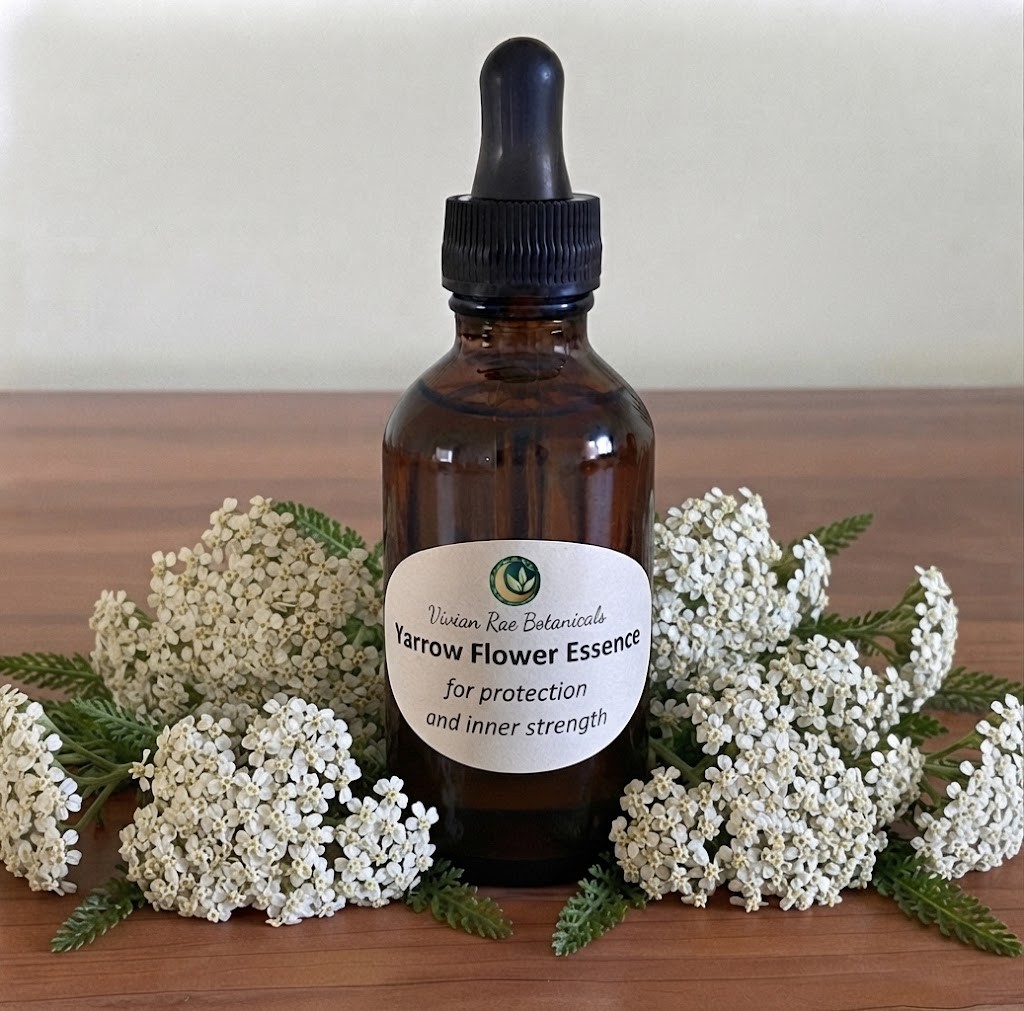 Yarrow Flower Essence